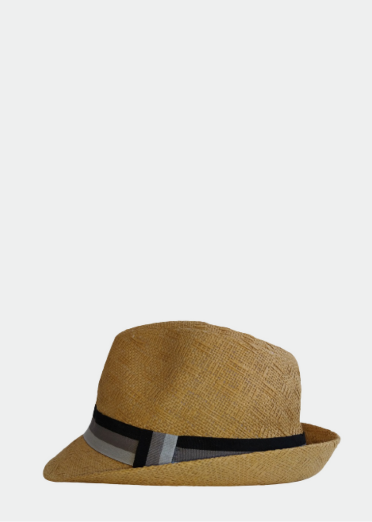 Hat Trilby On Board