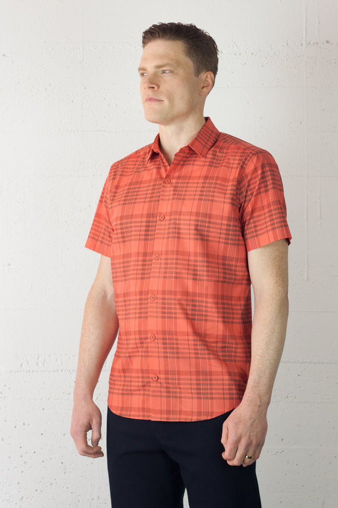 Accord Shirt Cairo