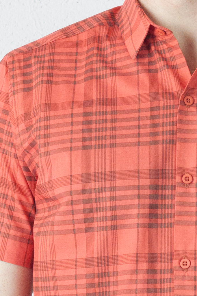 Accord Shirt Cairo
